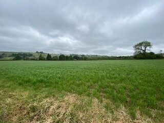 Landscape of a meadow, with long grass, and trees, with heavy rain clouds above in, Allerton, Bradford, UK