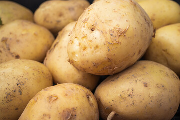 Bio organic young potatoes sold on market