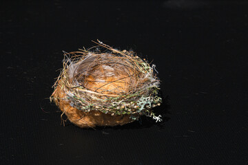 an ornate bird nest on a black background