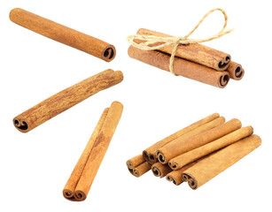 Cinnamon sticks are single and in a pile, tied with a rope isolated on white background with clipping path. Full depth of field.