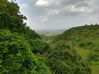Beautiful green landscape view of a hill from the top of a tree in a forest