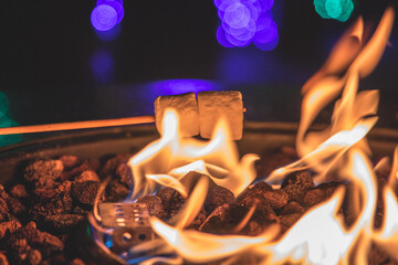 Cooking smores on a campfire - obrazy, fototapety, plakaty