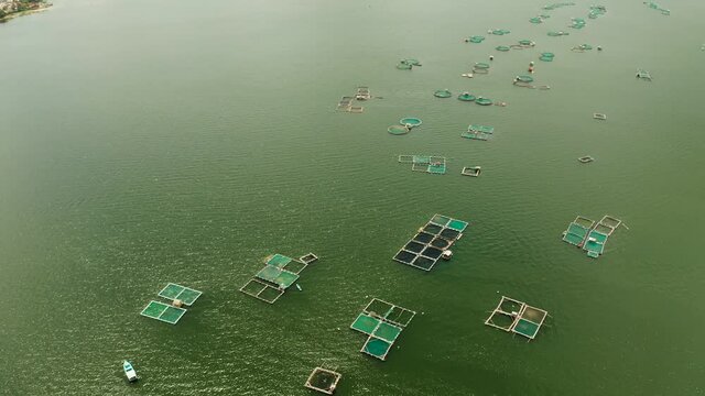 Fish farm on Lake Taal, Philippines, where locals breed fish for sale and food. Philippines, Luzon.