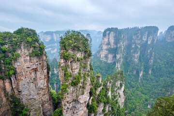 Famous tourist attraction of China - Zhangjiajie stone pillars cliff mountains in fog clouds at Wulingyuan, Hunan, China