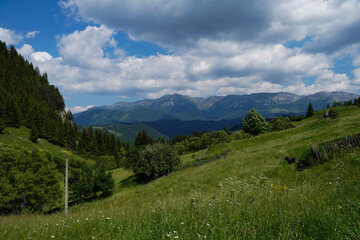 Fototapeta na wymiar mountain landscape in the summer