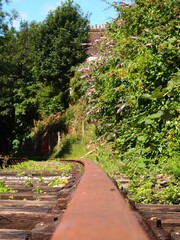 View of old train track