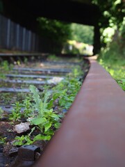 View of old train track