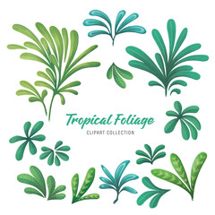 Tropical foliage clip art collection isolated on white background
