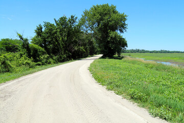 Fototapeta na wymiar a natural dirt road leading into beautiful farmland near a meadow pond and glade