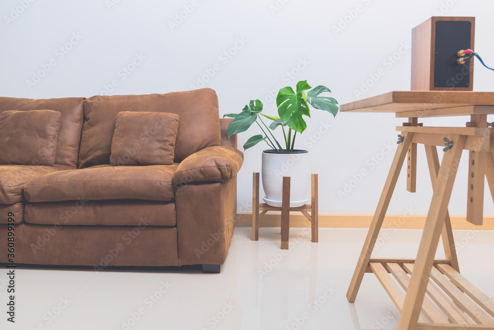 Wall mural monster tree in a white pot, standing on a wooden stand next to the sofa in the living room in front