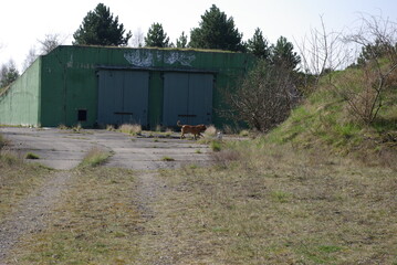 Bunker auf einem alten Militärgelände in Brandenburg