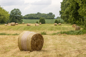 on  mowed meadow lie pressed round bales of hay