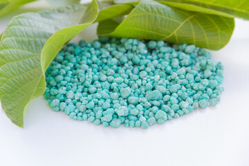 Green different shape chemical fertilizer granules under green leaf.