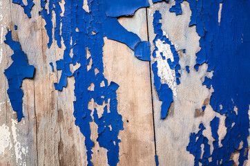 weathered wood planks wall in blue color