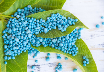 Blue different shape chemical fertilizer granules on green leaf.