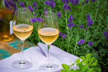 Love Provence, romantic picnic with glasses of cold French rose wine and purple lavender flowers in sunny summer garden