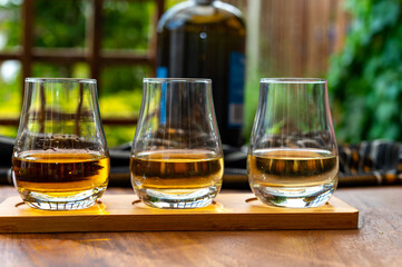 Tasting of Scotch whisky in traditional old British house with wooden windows