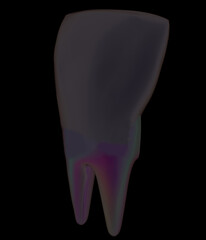 Tooth. 3d illustration. On a black background.