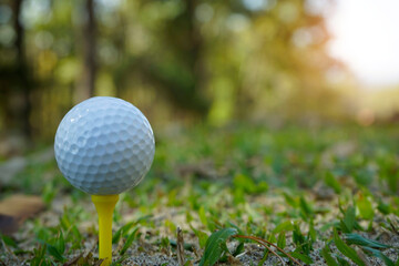 Golf ball on tee in beautiful golf course at sunset background. White Golf ball on tee on green grass of golf course with copy space