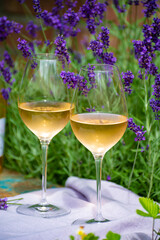 Love Provence, romantic picnic with glasses of cold French rose wine and purple lavender flowers in sunny summer garden