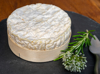 French cheeses collection, piece of matured camembert cow milk cheese with white mold