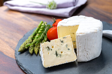 French cheeses collection, piece of Le Bleu cow milk soft blue cheese with white mold.