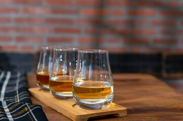 Tasting of Scotch whisky in traditional British old house