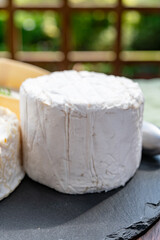 French cheeses collection, pieces of camembert and Le Bleu cow milk blue cheese with white mold.