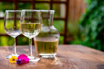 Summer tasting of cold white wine on sunny garden terrace with wooden pergola