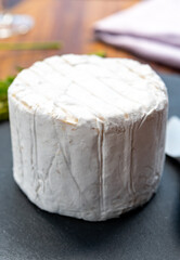 French cheeses collection, piece of Le Bleu cow milk soft blue cheese with white mold.