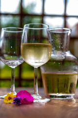 Summer tasting of cold white wine on sunny garden terrace with wooden pergola