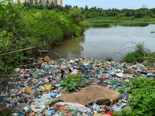 Water pollution near mangrove trees madh island Mumbai