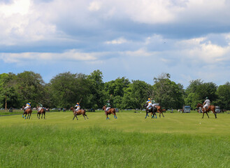 A group of players in Polo. Ireland.