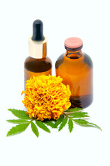 Tagetes flowers extract, tincture, infusion