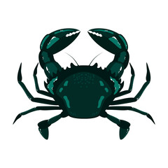 Vector image of a crab. Image on a white background.
