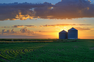 Prairie sunrise on metal grain bins near the city of Moose Jaw, Saskatchewan, Canada - obrazy, fototapety, plakaty