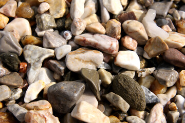 Wet stones on the beach