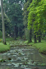 Taman Langsat is a city forest in Jakarta.