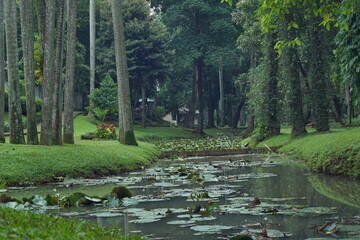 Taman Langsat is a city forest in Jakarta.