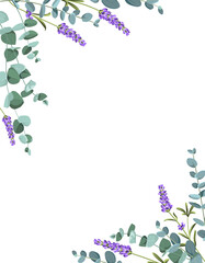 Eucaliptus and lavender elements design template. Simple design with frame flowers. Herbal vector frame © Kotkoa