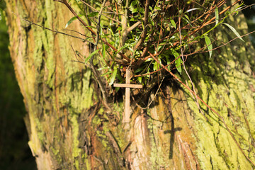 Cross on the tree with its shadow.