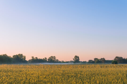 countryside landscape with fiels and trees under the blue sky.