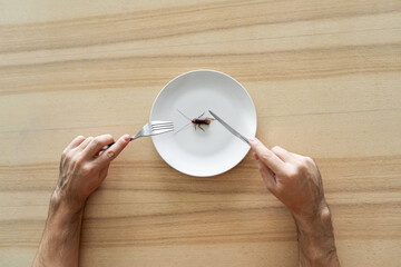 Top view, a man eating a cockroach. Cockroach in a white plate on the kitchen table. Strange taste preferences