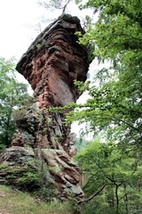 Felsen aus Buntsandstein im Pfälzerwald