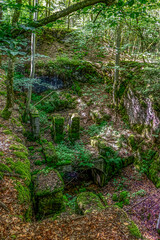 verlassener Steinbruch mitten im grünen Wald