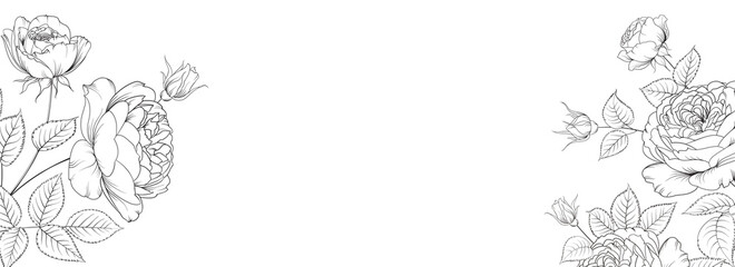 Botanical elements design template. Panoramic simple design with frame flowers. Herbal vector frame