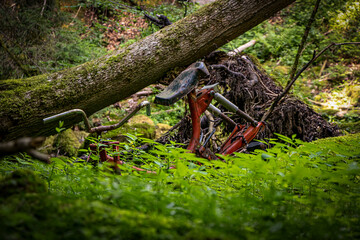 altes Mofa mitten im grünen Wald vergessen