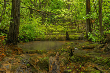 Cisarska gorge with clean creek and waterfall near Berounka river