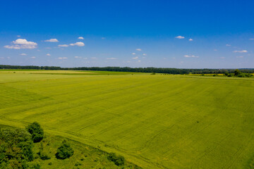Aerial view of green field and blue sky.
