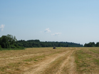 harvesting grass for feeding domestic animals. farm. dry mown grass. tractor